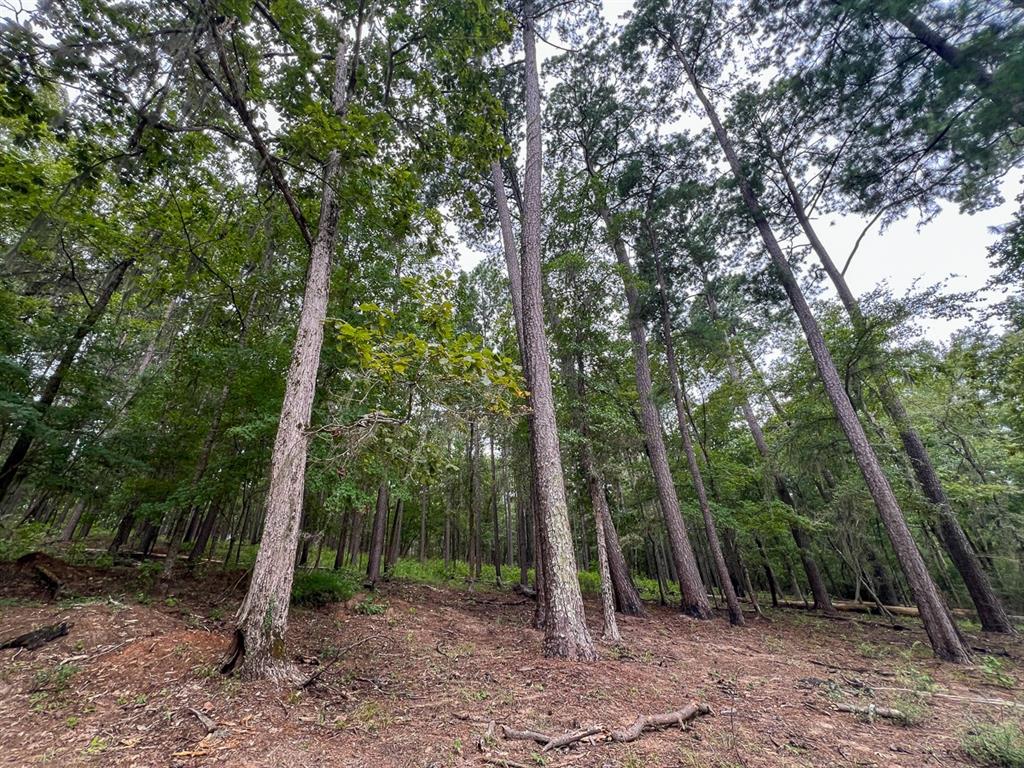 T-2 Arledge Trail/off Gateway Meadows Property Photo 23