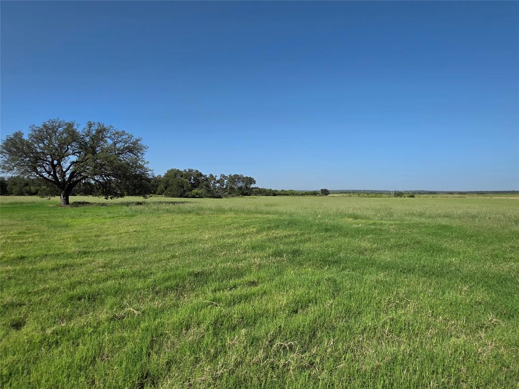 2195 Fm-585 Property Photo 29