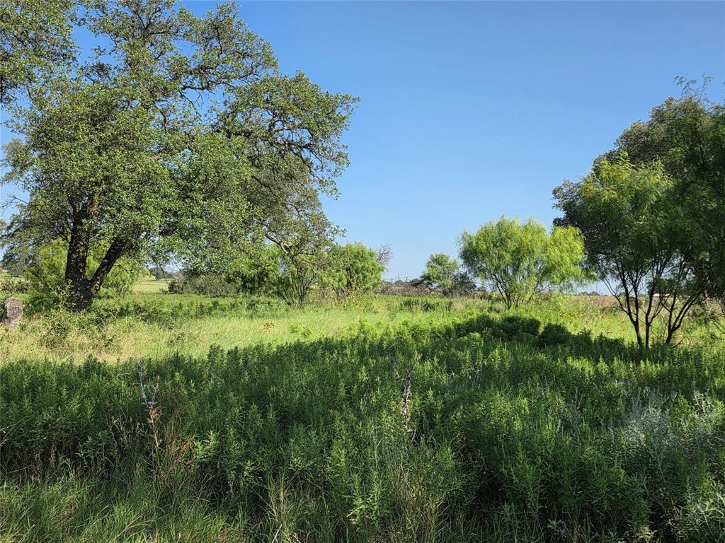 2195 Fm-585 Property Photo 36