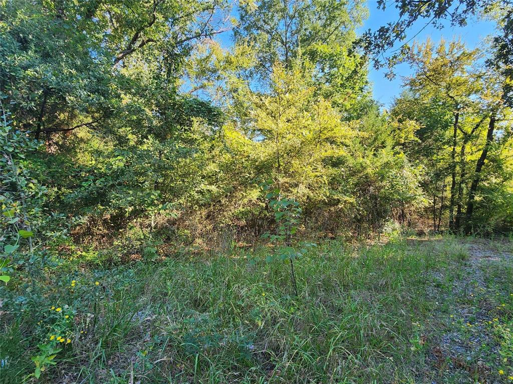 Tbd County Rd 3613 Property Photo 15