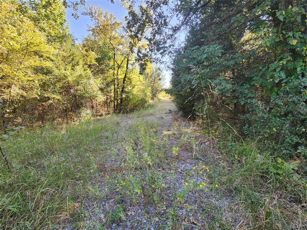 Tbd County Rd 3613 Property Photo 16