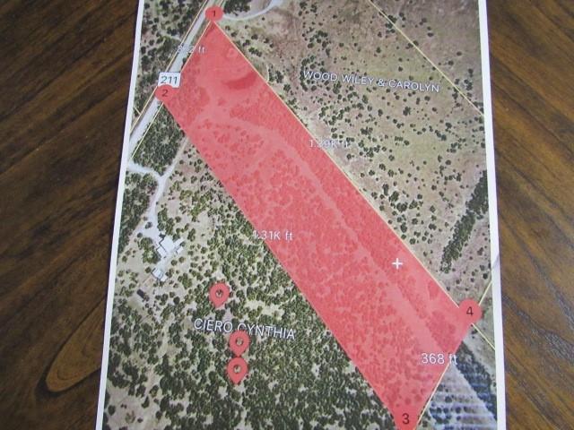 Tbd County Road 211 Property Photo 2