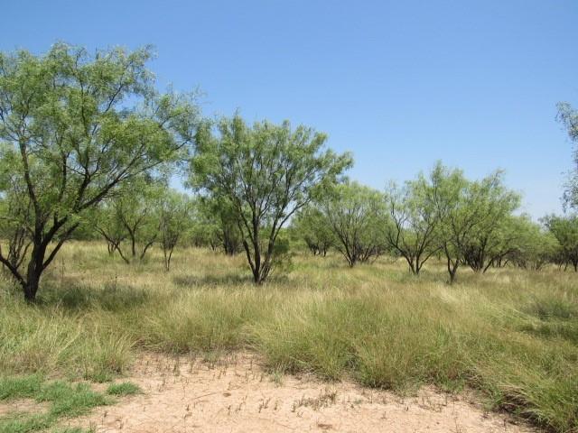 Tbd County Road 211 Property Photo 3