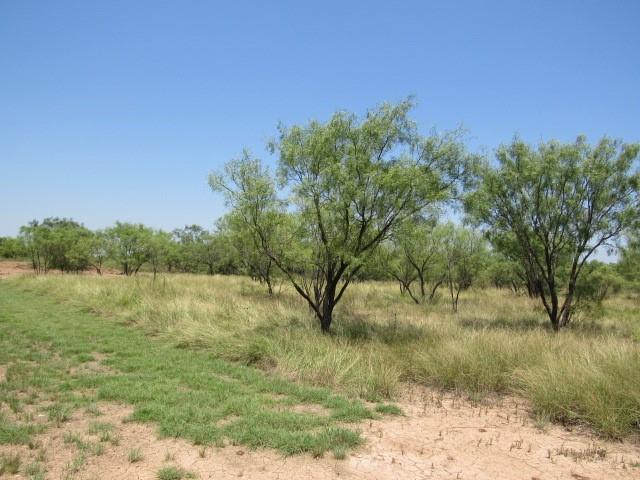 Tbd County Road 211 Property Photo 4