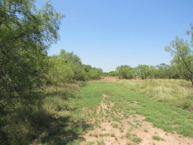 Tbd County Road 211 Property Photo 5