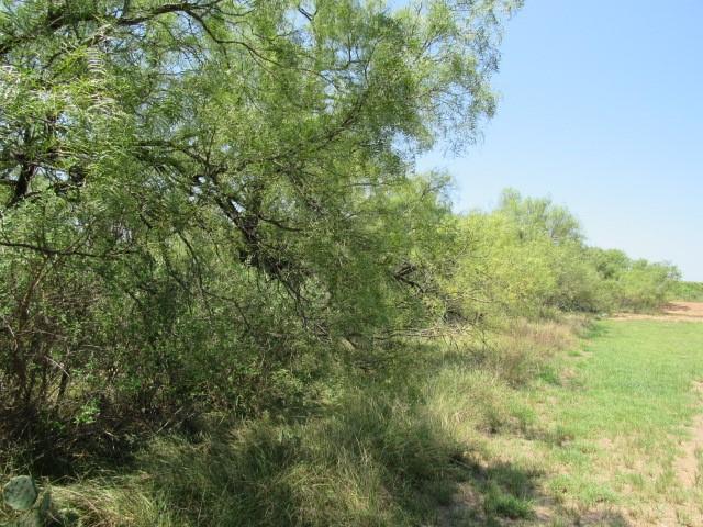 Tbd County Road 211 Property Photo 6
