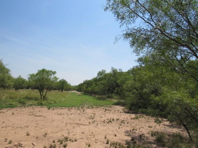 Tbd County Road 211 Property Photo 7