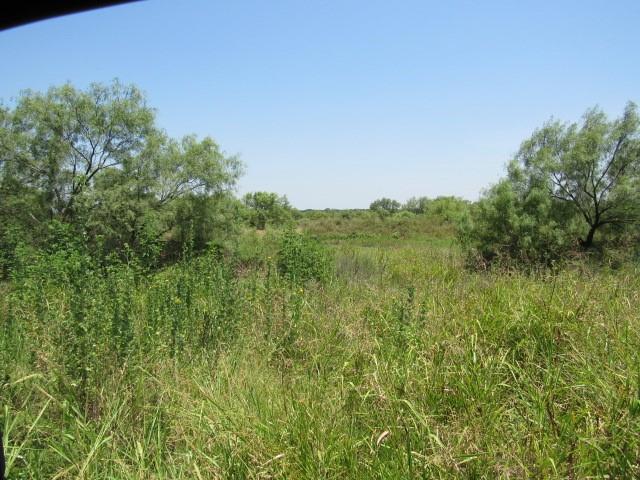 Tbd County Road 211 Property Photo 9