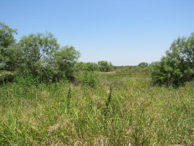 Tbd County Road 211 Property Photo 10