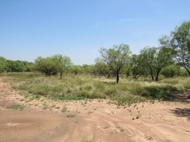Tbd County Road 211 Property Photo 11