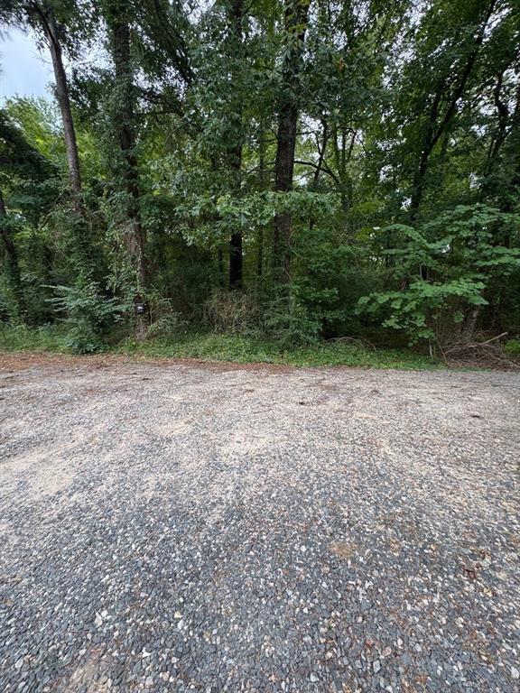 177 Miller Road Property Photo 7