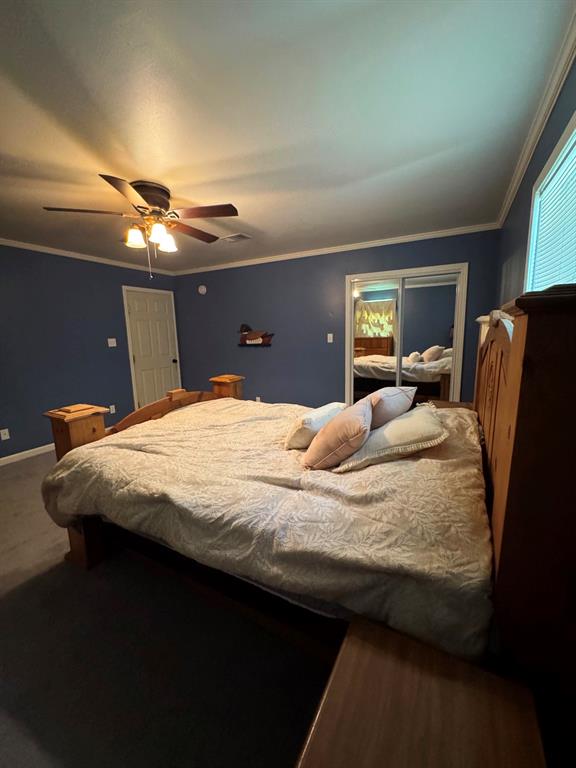 177 Miller Road Property Photo 31