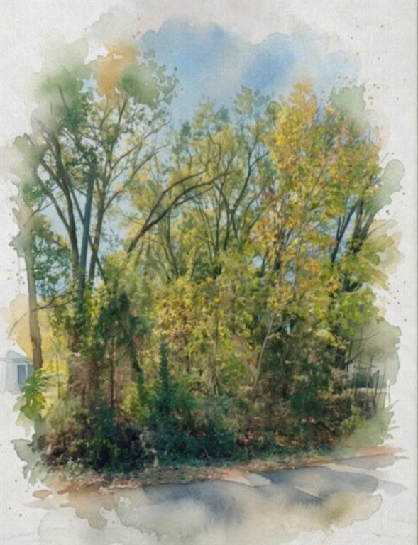 207 Acres Loop Property Photo 2