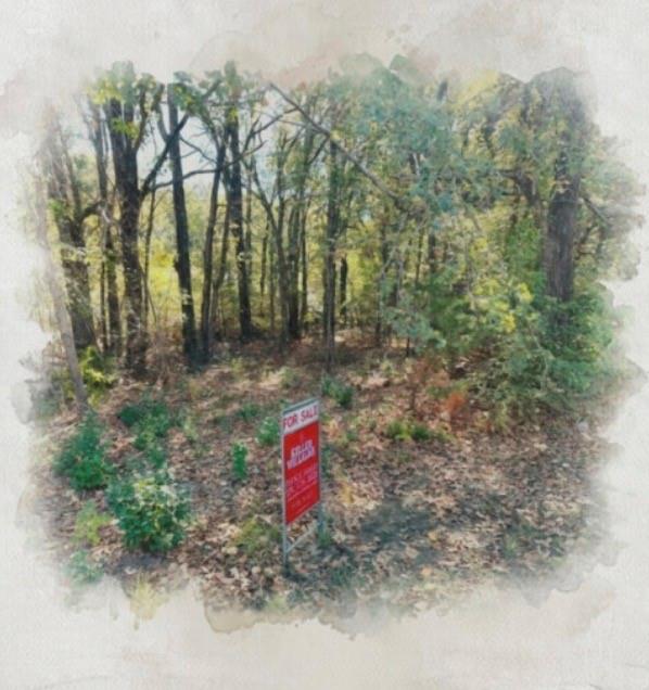 207 Acres Loop Property Photo 3