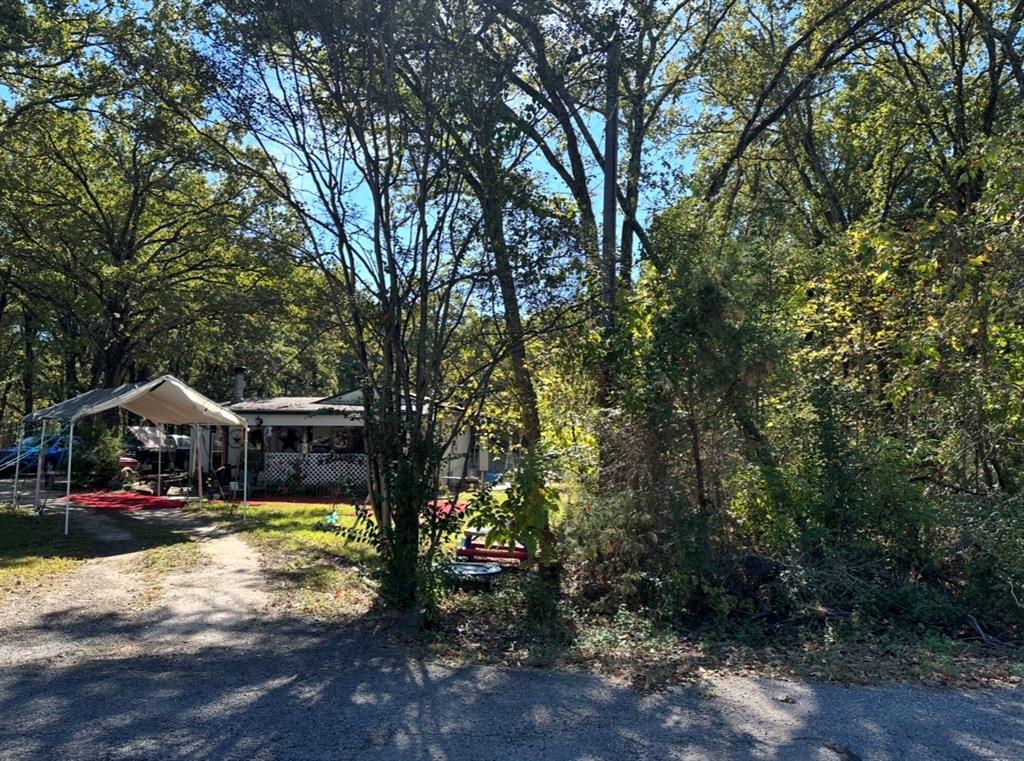 207 Acres Loop Property Photo 4