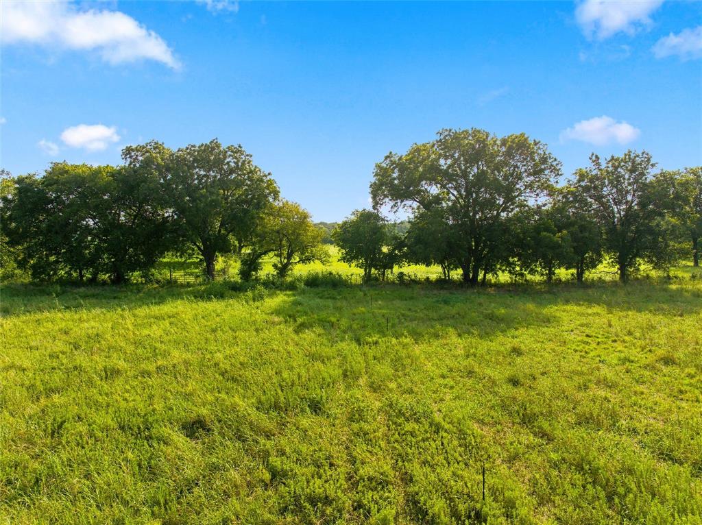 494 Quillian Trace Property Photo 2