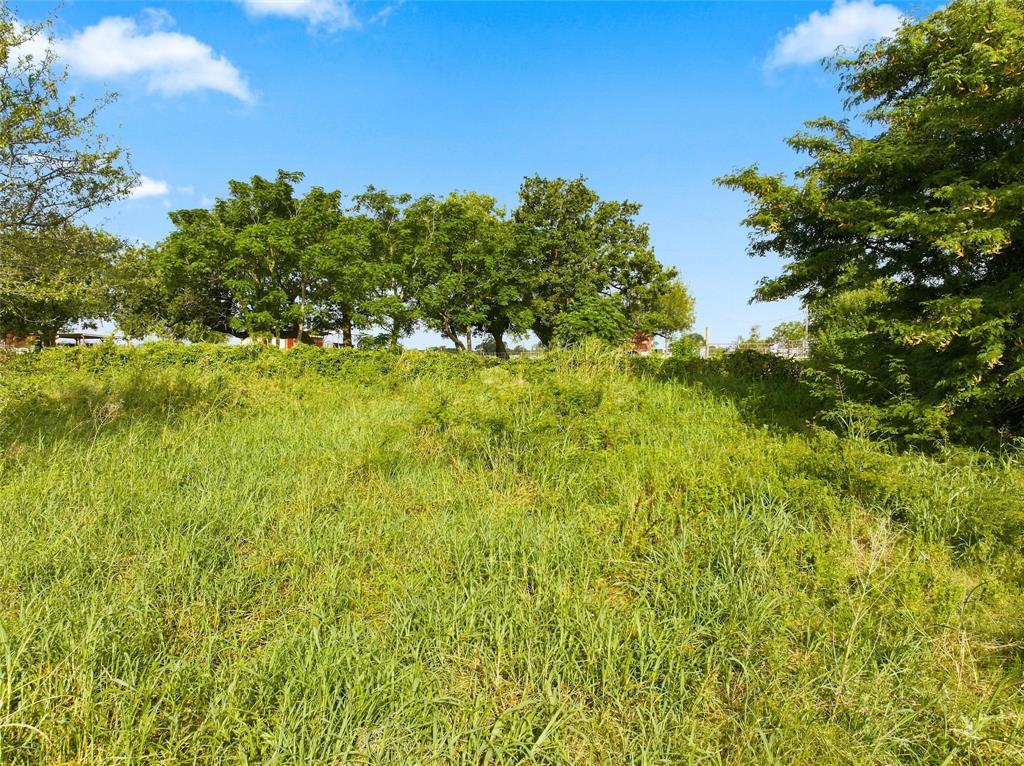 494 Quillian Trace Property Photo 4