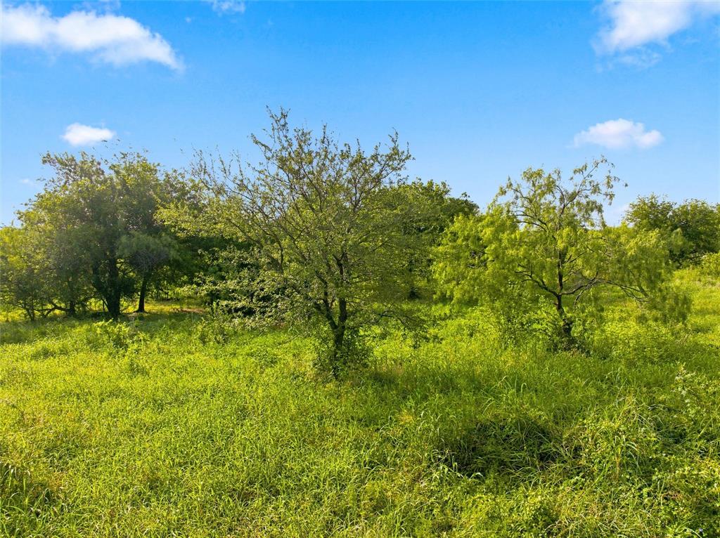 494 Quillian Trace Property Photo 5