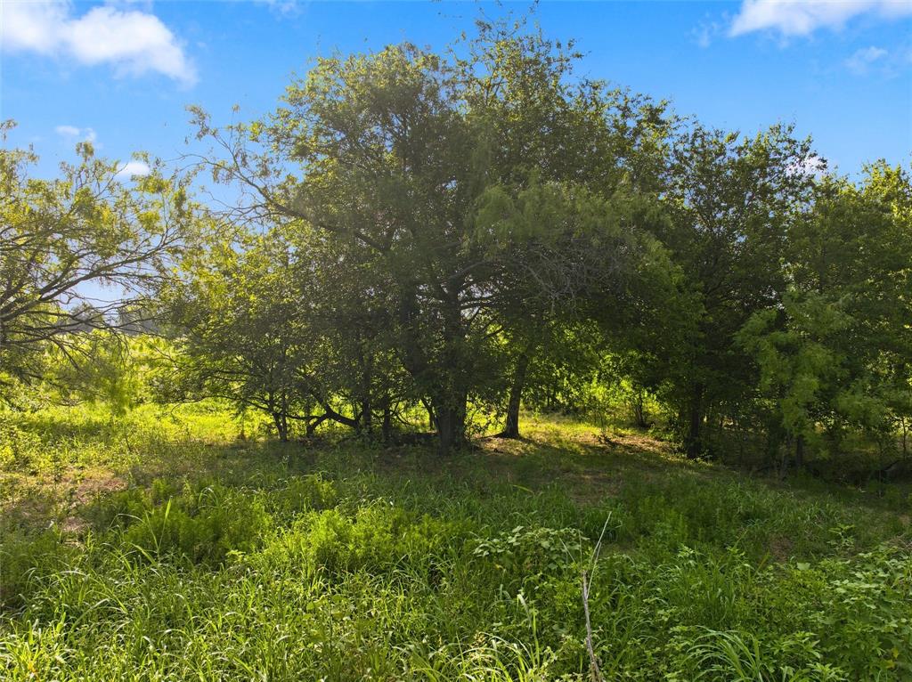 494 Quillian Trace Property Photo 18