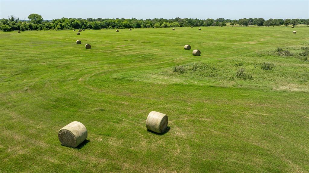 Tbd County Road 242 1 Property Photo 11