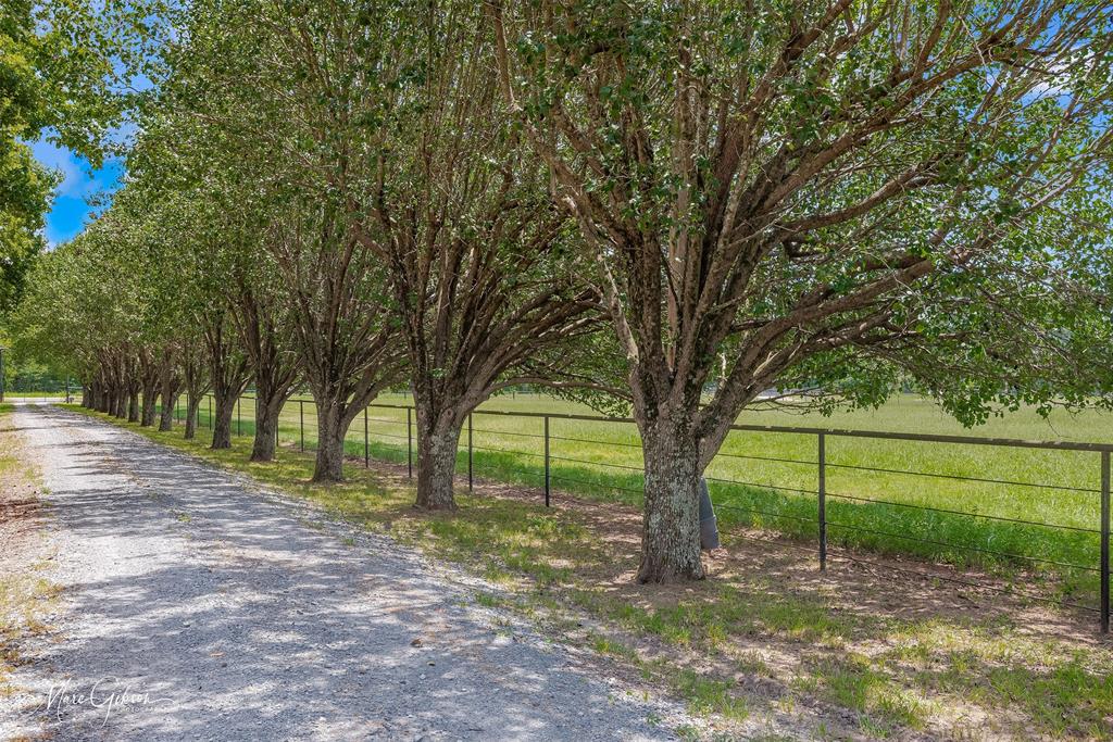 2675 Swan Lake Road Property Photo 3