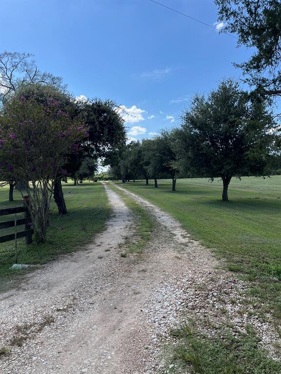 6303 Greenvine Road Property Photo 1