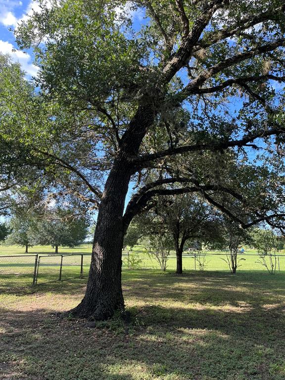 6303 Greenvine Road Property Photo 19