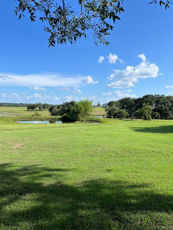 6303 Greenvine Road Property Photo 20