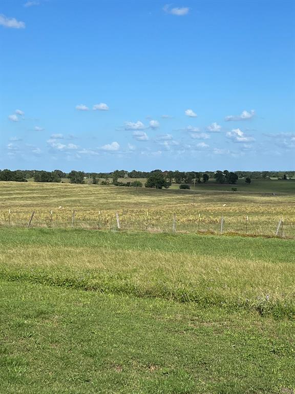6303 Greenvine Road Property Photo 21