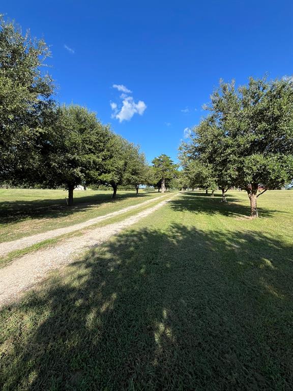 6303 Greenvine Road Property Photo 25