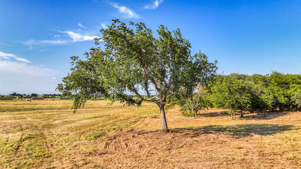 Lot 12 Three Quarter Loop Property Photo 3