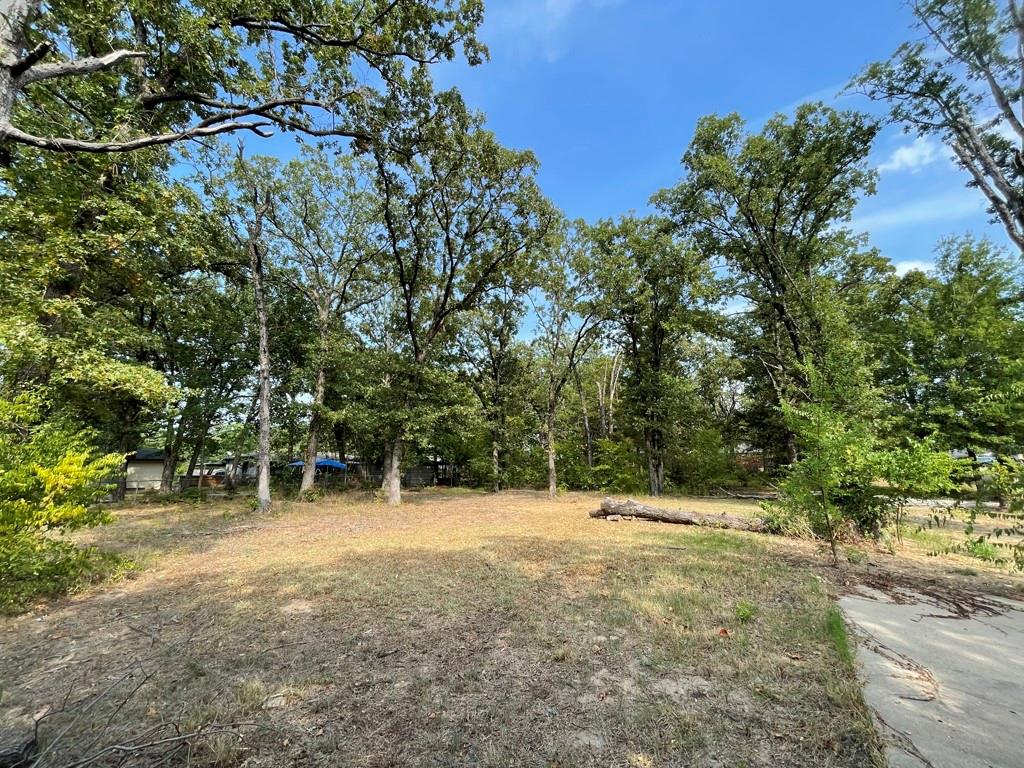 1353 Shady Lane Property Photo 1