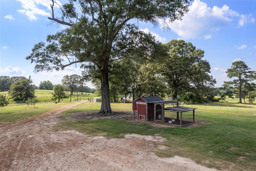 6774 Fm 2888 Property Photo 26