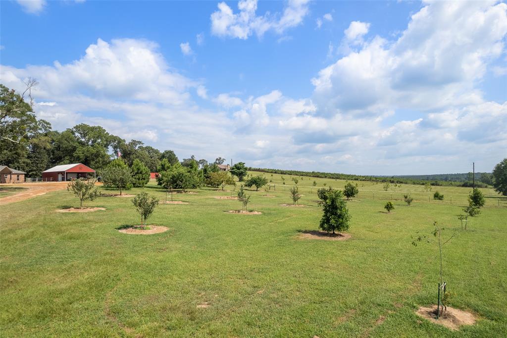 6774 Fm 2888 Property Photo 28