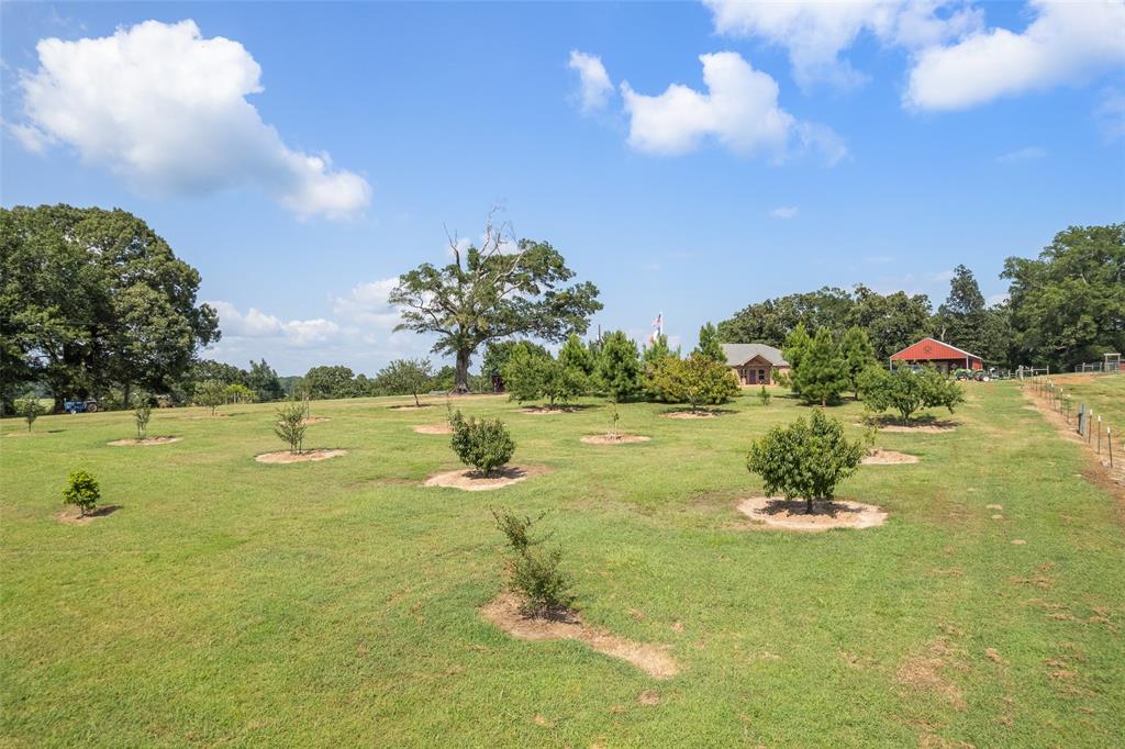 6774 Fm 2888 Property Photo 29