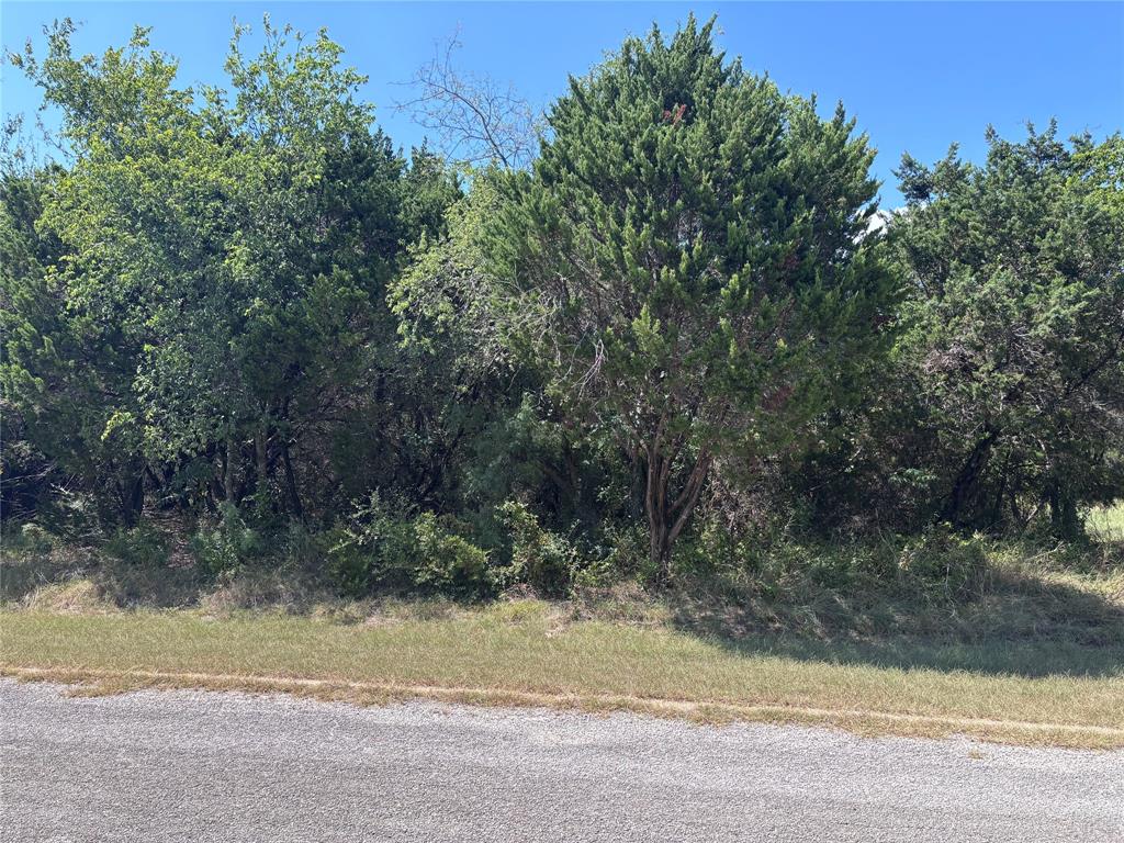 39037 Mesquite Drive Property Photo 2