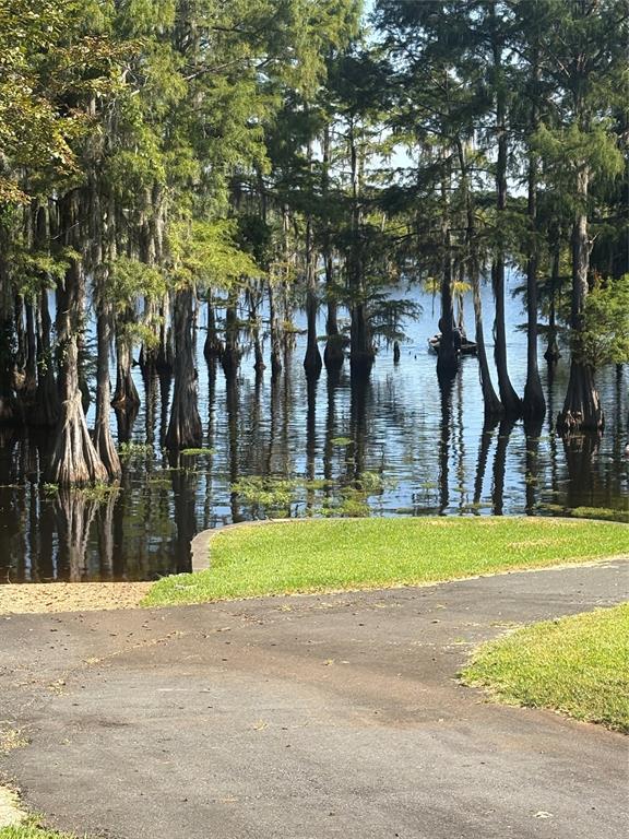 459 Dollie Moore Road Property Photo 5