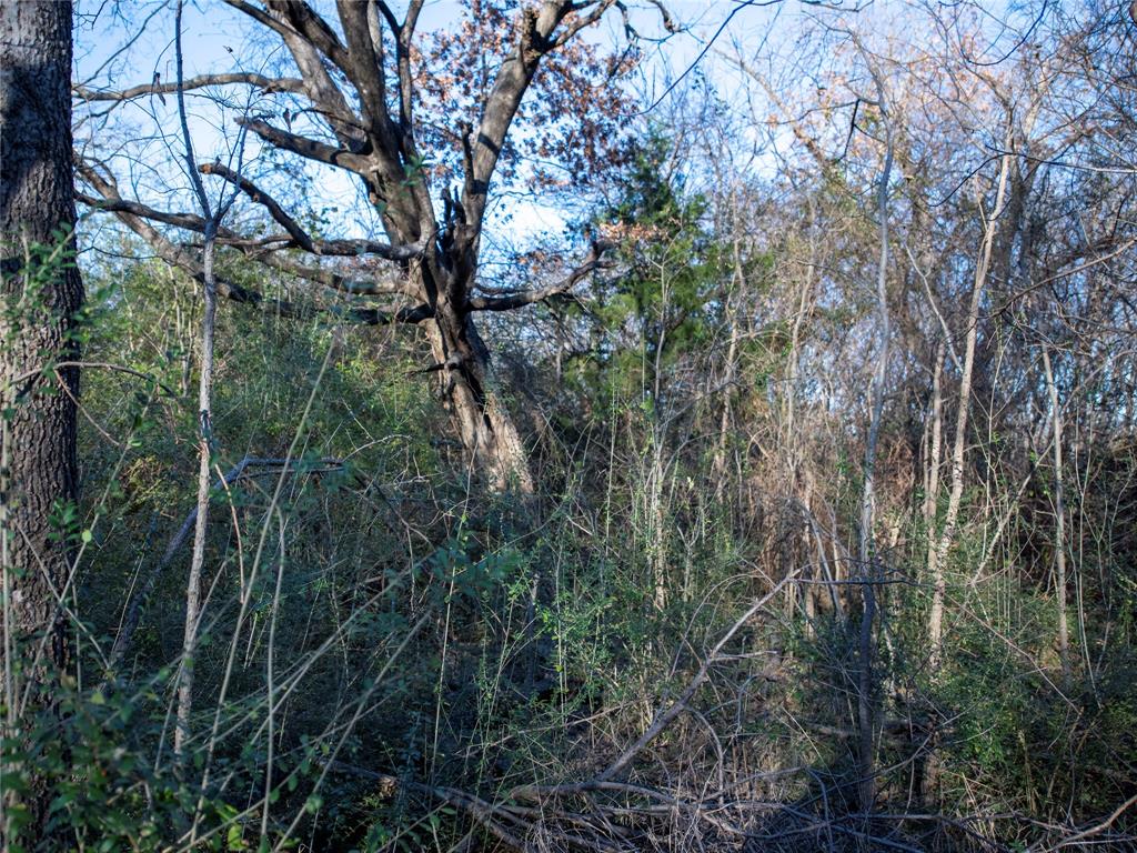 2701 Ames Road Property Photo 9