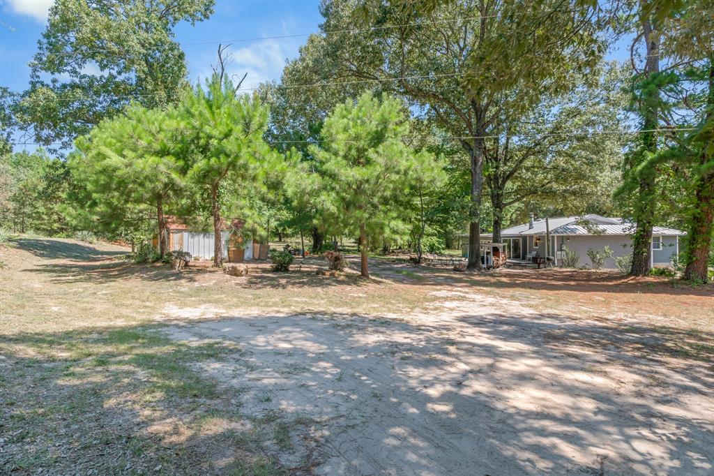 16973 Fm 773 Property Photo 33