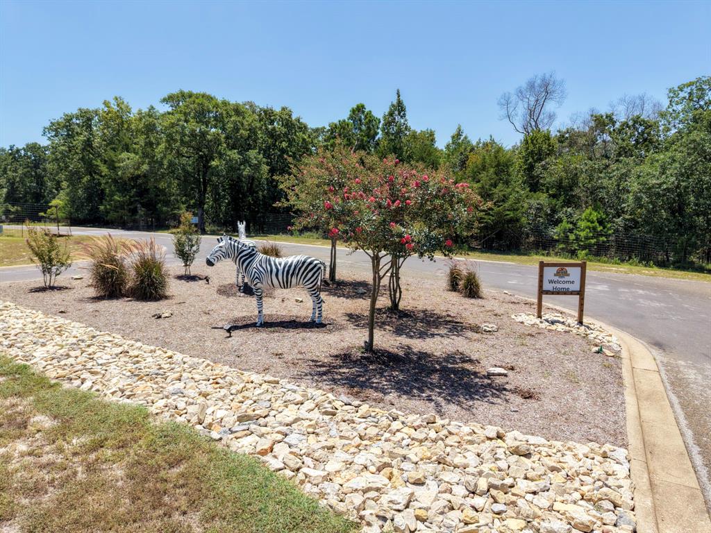 9236 Safari Bluff Property Photo 35