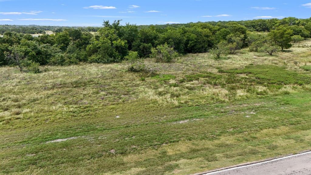 1735 White Bluff Drive Property Photo 4