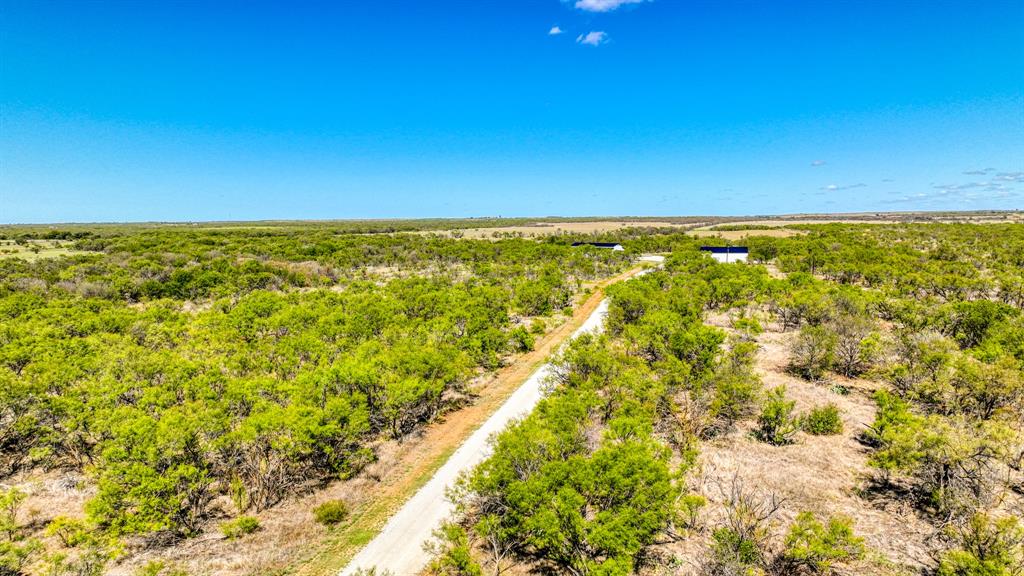 2337 Walsh Property Photo 9