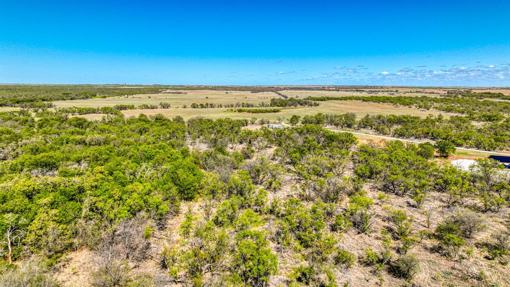 2337 Walsh Property Photo 11