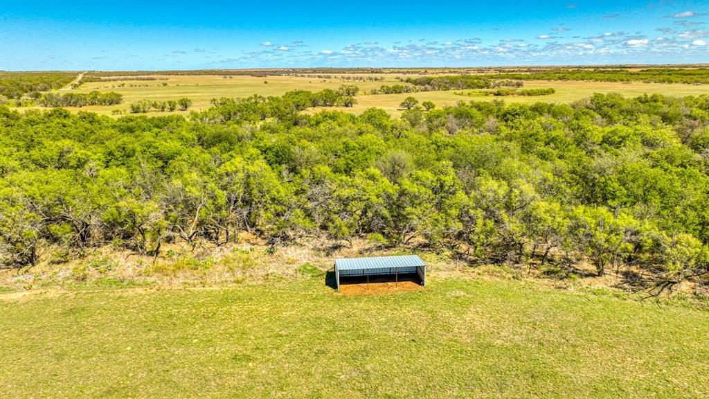 2337 Walsh Property Photo 13