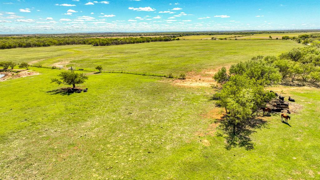 2337 Walsh Property Photo 17