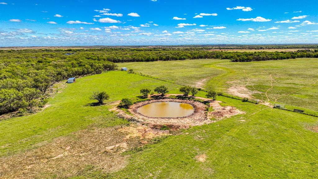 2337 Walsh Property Photo 18