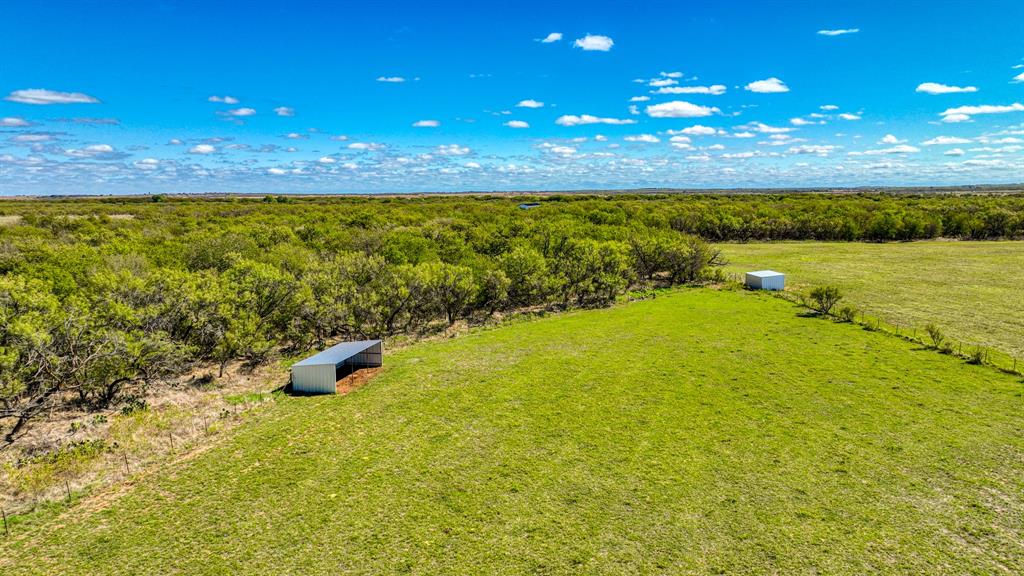 2337 Walsh Property Photo 19