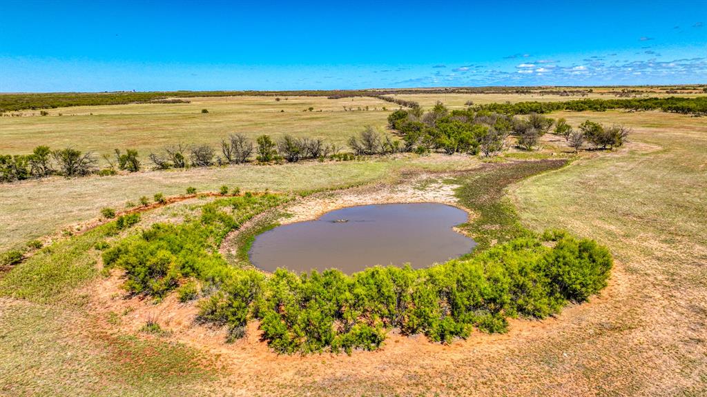 2337 Walsh Property Photo 20