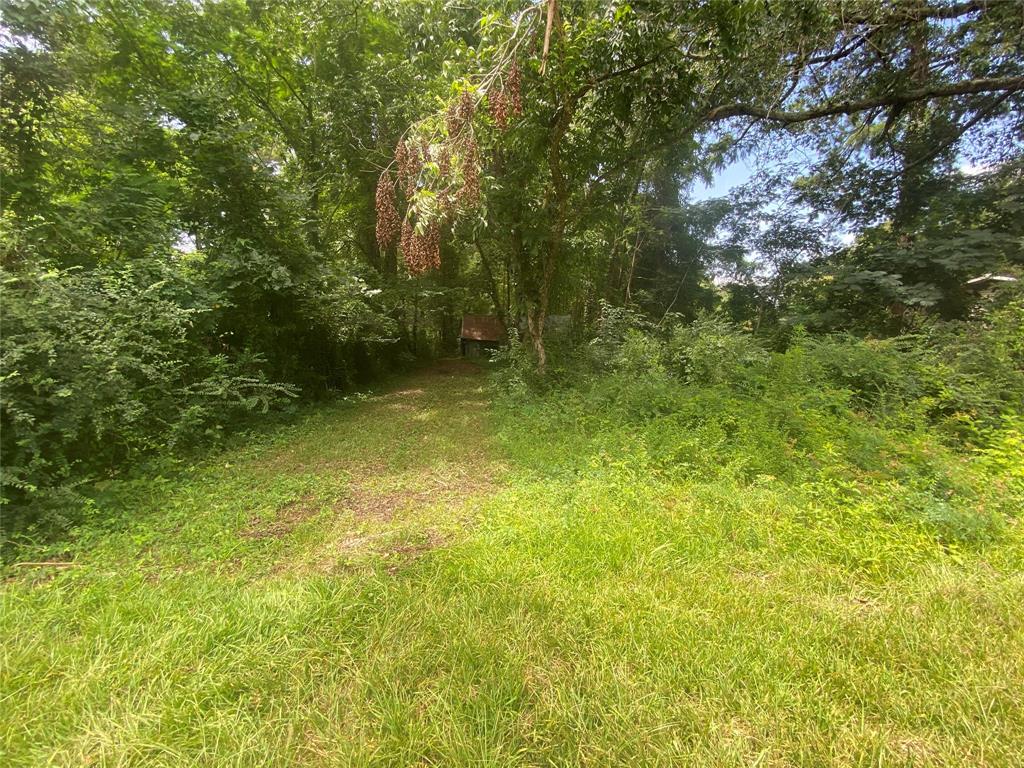 140 Bellview Road Property Photo 30