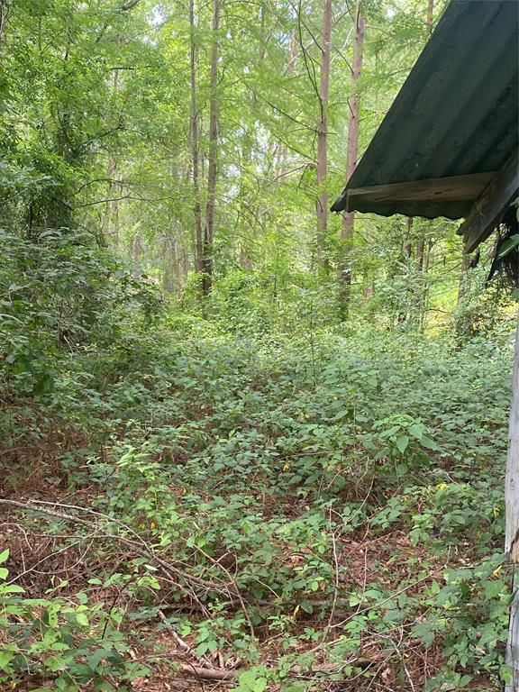 140 Bellview Road Property Photo 32